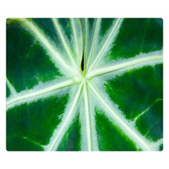 Green Leaf Macro Detail Double Sided Flano Blanket (small)  by Nexatart