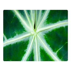 Green Leaf Macro Detail Double Sided Flano Blanket (large)  by Nexatart