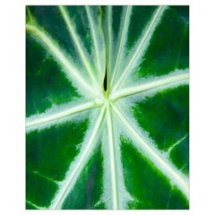 Green Leaf Macro Detail Drawstring Bag (small) by Nexatart