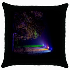 Illuminated Trees At Night Throw Pillow Case (black) by Nexatart