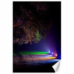 Illuminated Trees At Night Canvas 20  X 30   by Nexatart