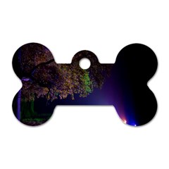 Illuminated Trees At Night Dog Tag Bone (one Side) by Nexatart