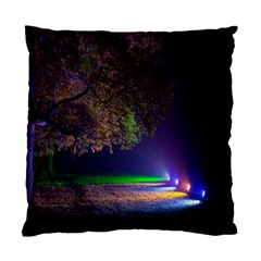 Illuminated Trees At Night Standard Cushion Case (one Side) by Nexatart