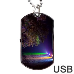 Illuminated Trees At Night Dog Tag Usb Flash (two Sides) by Nexatart