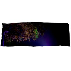 Illuminated Trees At Night Body Pillow Case Dakimakura (two Sides) by Nexatart