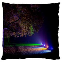 Illuminated Trees At Night Large Cushion Case (one Side) by Nexatart