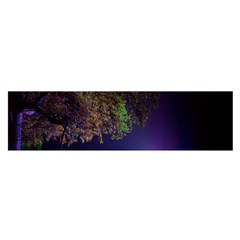 Illuminated Trees At Night Satin Scarf (oblong) by Nexatart