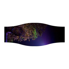 Illuminated Trees At Night Stretchable Headband