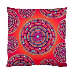 Pretty Floral Geometric Pattern Standard Cushion Case (two Sides) by LovelyDesigns4U