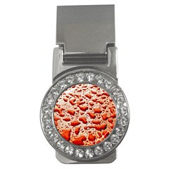 Water Drops Background Money Clips (cz)  by Nexatart