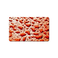 Water Drops Background Magnet (name Card) by Nexatart