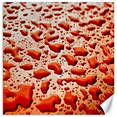 Water Drops Background Canvas 12  X 12   by Nexatart