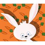 Easter bunny  Deluxe Canvas 14  x 11  14  x 11  x 1.5  Stretched Canvas