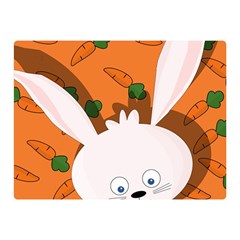 Easter Bunny  Double Sided Flano Blanket (mini)  by Valentinaart