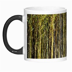 Bamboo Trees Background Morph Mugs by Nexatart