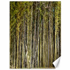 Bamboo Trees Background Canvas 36  X 48   by Nexatart