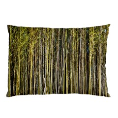 Bamboo Trees Background Pillow Case