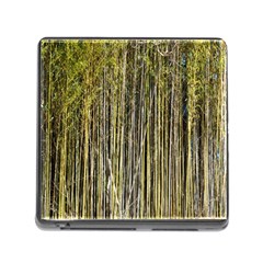 Bamboo Trees Background Memory Card Reader (square) by Nexatart