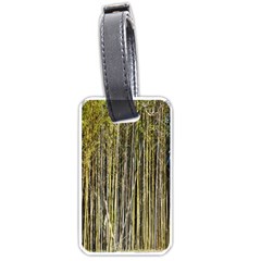 Bamboo Trees Background Luggage Tags (one Side)  by Nexatart