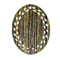 Bamboo Trees Background Oval Filigree Ornament (two Sides) by Nexatart