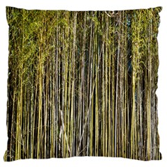 Bamboo Trees Background Large Cushion Case (two Sides) by Nexatart