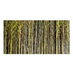 Bamboo Trees Background Satin Shawl by Nexatart