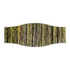 Bamboo Trees Background Stretchable Headband