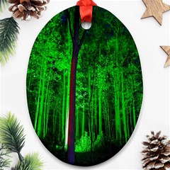 Spooky Forest With Illuminated Trees Ornament (oval) by Nexatart