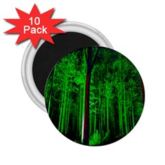 Spooky Forest With Illuminated Trees 2 25  Magnets (10 Pack)  by Nexatart