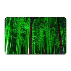 Spooky Forest With Illuminated Trees Magnet (rectangular) by Nexatart