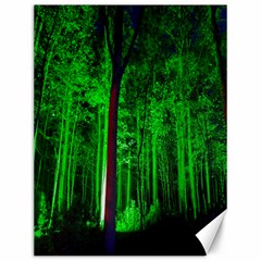 Spooky Forest With Illuminated Trees Canvas 12  X 16   by Nexatart