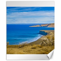 Seascape View From Punta Del Marquez Viewpoint, Chubut, Argentina Canvas 16  X 20   by dflcprints