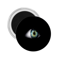 Eye On The Black Background 2 25  Magnets by Nexatart