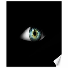 Eye On The Black Background Canvas 8  X 10  by Nexatart