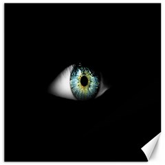 Eye On The Black Background Canvas 12  X 12   by Nexatart