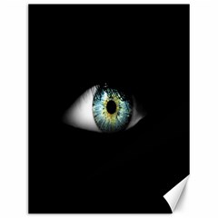 Eye On The Black Background Canvas 12  X 16   by Nexatart