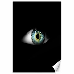 Eye On The Black Background Canvas 12  X 18   by Nexatart