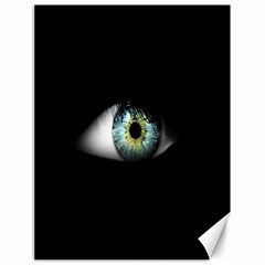 Eye On The Black Background Canvas 18  X 24   by Nexatart