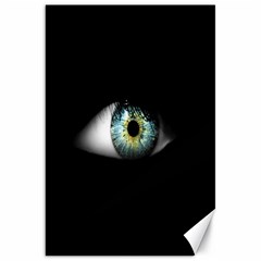 Eye On The Black Background Canvas 20  X 30   by Nexatart