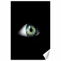 Eye On The Black Background Canvas 24  X 36  by Nexatart