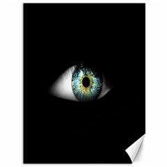 Eye On The Black Background Canvas 36  X 48   by Nexatart