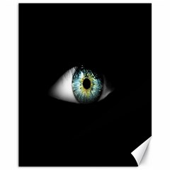 Eye On The Black Background Canvas 11  X 14   by Nexatart