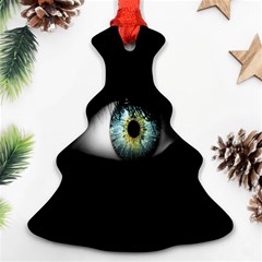 Eye On The Black Background Ornament (christmas Tree)  by Nexatart