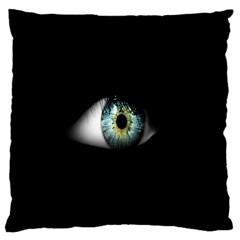 Eye On The Black Background Standard Flano Cushion Case (one Side) by Nexatart