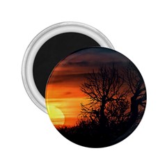 Sunset At Nature Landscape 2 25  Magnets by dflcprints