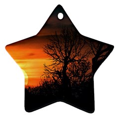 Sunset At Nature Landscape Ornament (star) by dflcprints