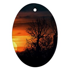 Sunset At Nature Landscape Oval Ornament (two Sides) by dflcprints