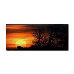 Sunset At Nature Landscape Cosmetic Storage Cases by dflcprints