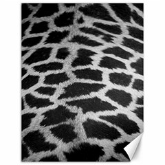 Black And White Giraffe Skin Pattern Canvas 12  X 16   by Nexatart