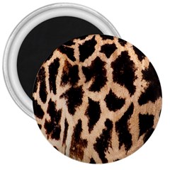 Giraffe Texture Yellow And Brown Spots On Giraffe Skin 3  Magnets by Nexatart